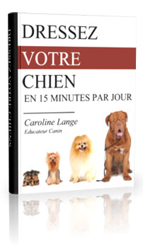 cover dressagechien